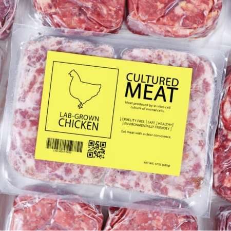 Freezer-grade label with permanent adhesive designed for cold storage and frozen food packaging